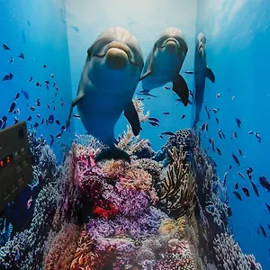 Hostal Tabist Sparkling Dolphins
